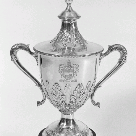 The Stewart Cup and Cover